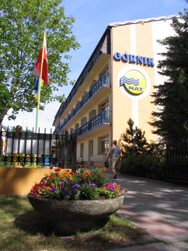 Gornik