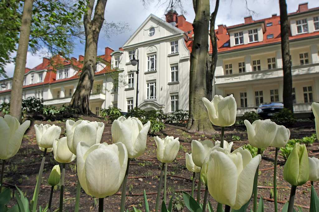 Kaiser´s Garten - Günstiger Ostseeurlaub in Polen (Swinemünde)